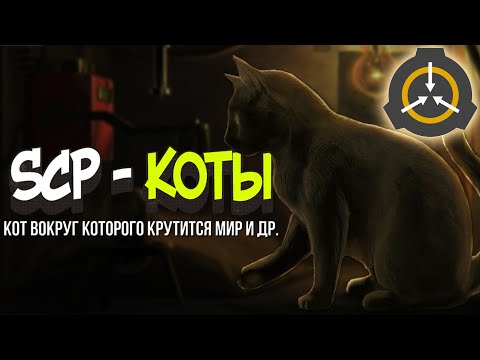 Видео: SCP КОТЫ - КОТ В МЕШКЕ, КОТ ВОКРУГ КОТОРОГО ВРАЩАЕТСЯ МИР И ДР.