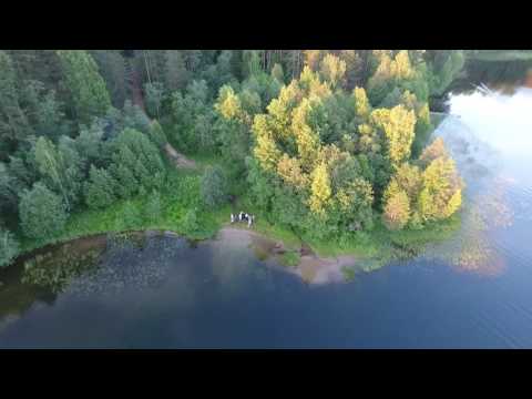 Видео: Валдай озеро Ужин июнь 2016