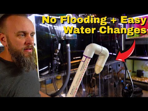 Видео: Как обустроить аквариумный отстойник для новичков
