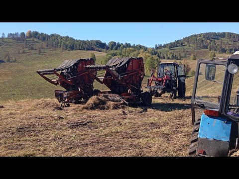 Видео: покос Алтая)