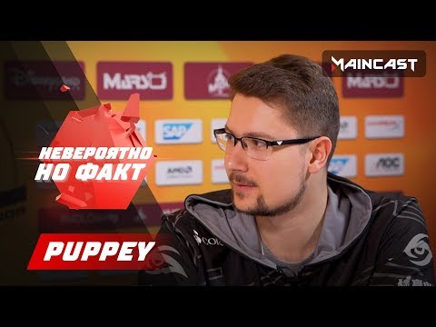 Видео: Невероятно, но факт — Puppey