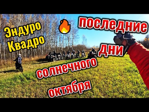 Видео: Последние солнечные деньки октября