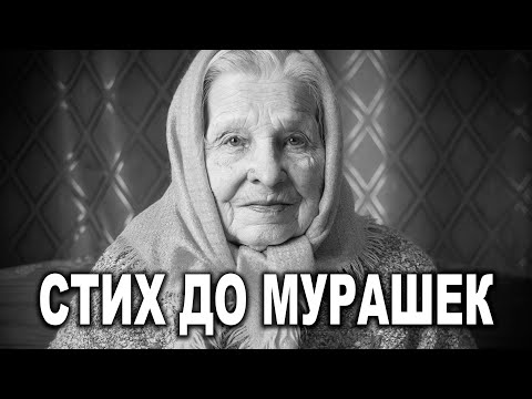 Видео: ОЧЕНЬ ТРОГАТЕЛЬНЫЙ СТИХ! "СЫН И СТАРЕНЬКАЯ МАТЬ" С ДОБРЫМ УТРОМ! Читает Григорий Манукян