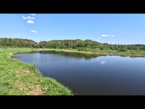 Видео: ТУТ Щуки с Берега КЛЮЮТ  ЛУЧШЕ ЧЕМ С ЛОДКИ! Рыбалка с берега!