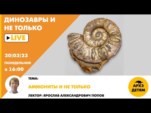 Видео: Занятие для детей "Аммониты и не только" кружка "Динозавры и не только" с Ярославом Поповым