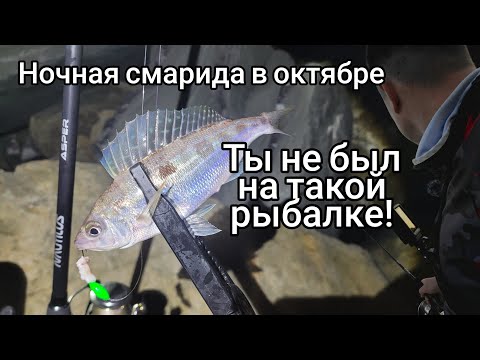 Видео: Ночной rockfishing на смариду. Рыбалка в Сочи в конце октября. Тест спиннинга Nautilus Asper