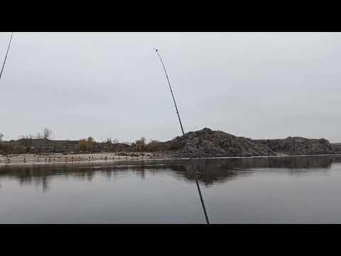 Видео: РЫБАЛКА ЗАПОРОЖЬЕ НАРОД ТЯГАЕТ ВО ВСЮ