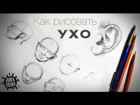 Видео: Как нарисовать Ухо? Основы рисования Портрета Карандашом