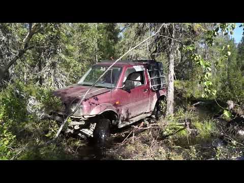 Видео: Кольский 2022г. 5 часть. На берегах Умбозера.