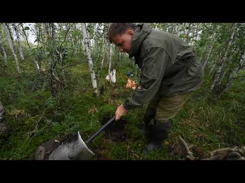 Видео: Как закладывать почвенный разрез