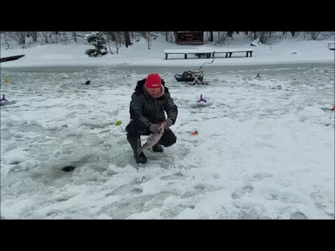 Видео: Работают блёсны в рыжих тонах. Клёвое место, Лосиный остров, верхний водоём.