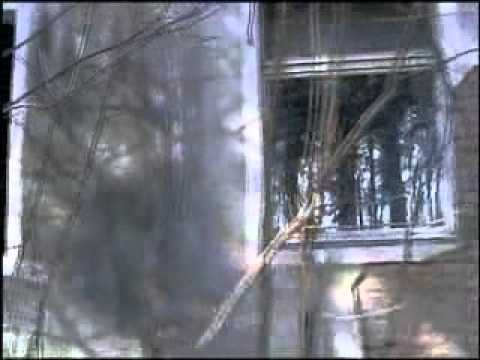 Видео: ГСВГ Фюрстенберг, часть 1