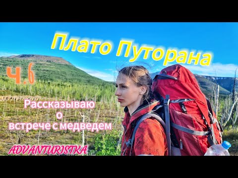 Видео: Плато Путорана. ч.6. Рассказ о том, как ночью к моей палатке подошёл медведь.
