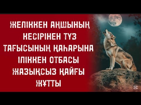 Видео: Арыстай азаматтың шарасыз халі өте аянышты еді
