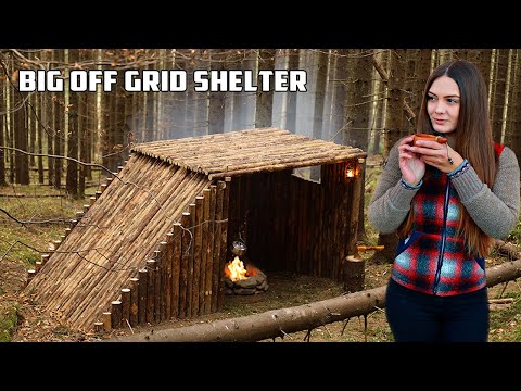 Видео: Строю Бушкрафт лагерь из 200 жердей в одиночку, без единого гвоздя, в диком лесу