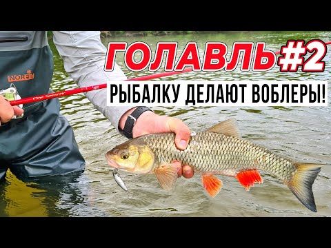 Видео: ГОЛАВЛЬ в ЧЕРНОЗЕМЬЕ - блёсны работают, но рыбалку делают воблеры! / Часть #2