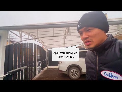 Видео: ЧТО СЛУЧИЛОСЬ С МАШИНОЙ ЯПОНЦА ИЗ КАЗАНИ?/ОЗВУЧКА ЯПОНСИХ БЛОГЕРОВ