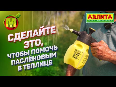 Видео: ВНЕКОРНЕВАЯ ПОДКОРМКА растений томата, баклажана и сладкого перца