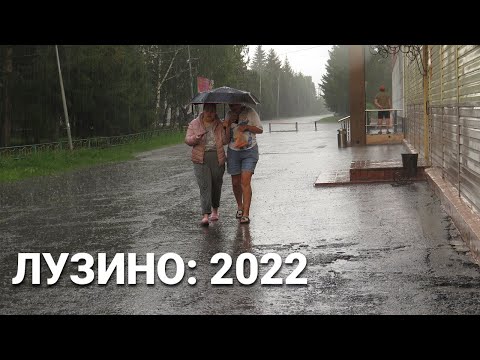 Видео: Поселок Лузино, Омская область.