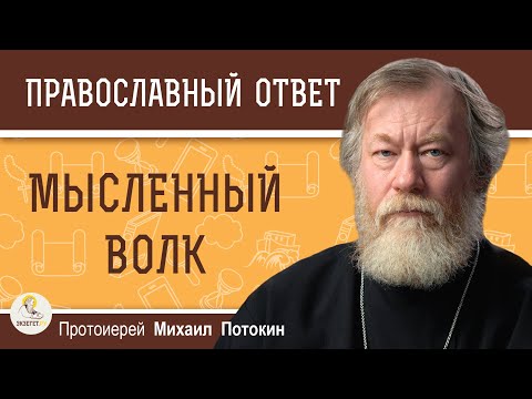 Видео: МЫСЛЕННЫЙ ВОЛК.  Протоиерей Михаил Потокин