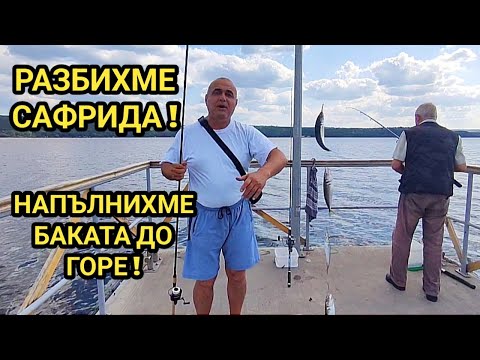 Видео: Най-добрият ми риболов на сафрид! Рибата направо полудя! Пълни чепарета и препълнени баки с риба!!!