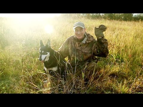 Видео: Плавим латунь в тайге.