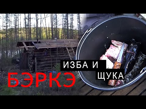 Видео: ИЗБА И ЩУКА.