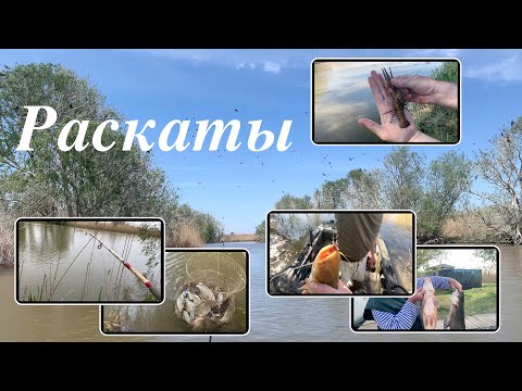 Видео: Раскаты, дельта Волги. Шесть дней рыбалки: сом, сазан, лещ, вобла и многое другое