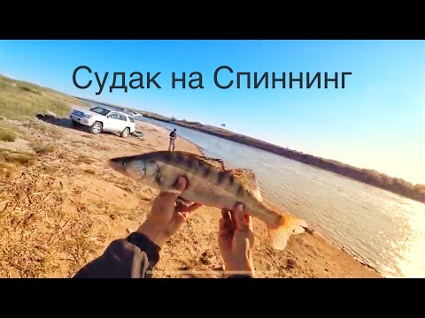 Видео: Судак на спиннинг! Кайфанул от души ! Осенняя рыбалка! Казахстан 🇰🇿