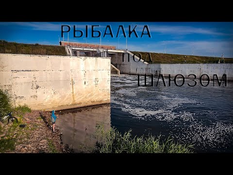 Видео: Рыбалка в черте города. Отвёл душу по Щуке и успокоился. Рыбалка на реке Ишим. Астана Казахстан.