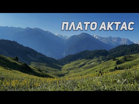 Видео: Плато Актас — Сад камней / Лесная сказка