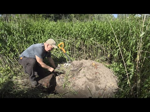 Видео: Выкопал тазик немецкой посуды с серебром у древнего фундамента!