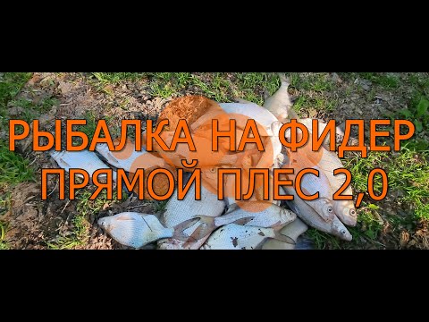 Видео: Рыбалка на фидер, река Свияга прямой плес версия 2 0 год 2024 лещ и линь