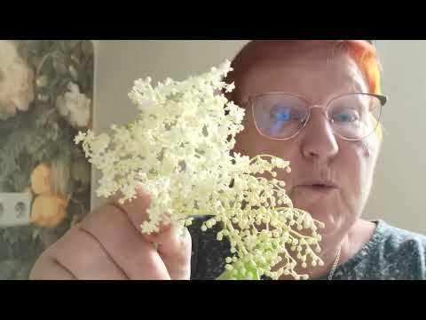 Видео: НОВЫЙ РЕЦЕПТ! ТВОРИМ ВКУСНЯШКИ ИЗ НИЧЕГО! / 1630