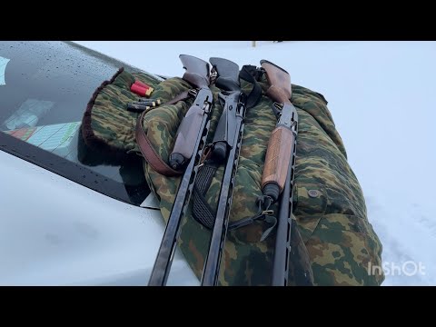 Видео: Отстрел пятизарядных ружей МР 155, Benelli, Browning получеком.