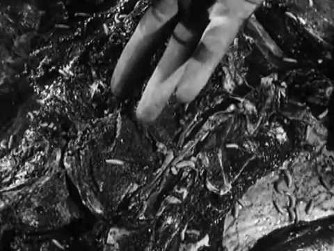 Видео: Шура Каретный Броненосец в потемках