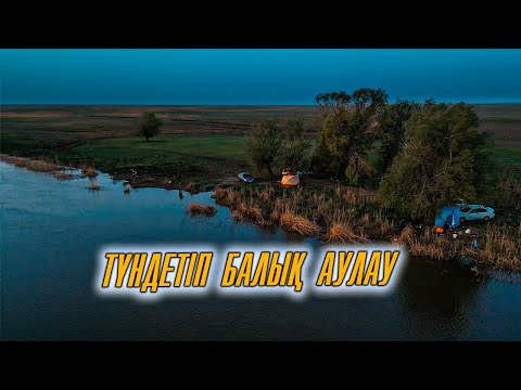 Видео: Түндетіп балық аулауға шықтық | Көктемгі сазан балығын аулау