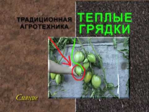 Видео: 7_Теплые грядки (Осень)