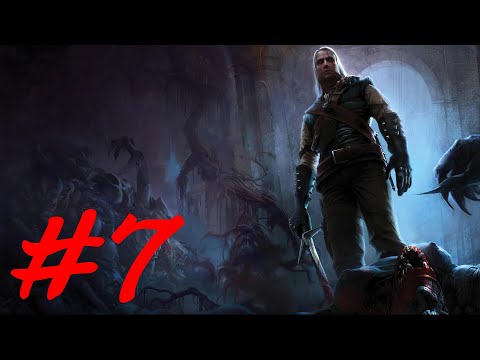 Видео: Прохождение The Witcher Максимальная Сложность - Часть 7 (Саламандры и Зверь)