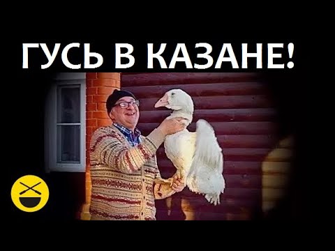 Видео: РЕЦЕПТ ГУСЯ В КАЗАНЕ! Потрясающий новогодний ГУСЬ! Только у Сталика!