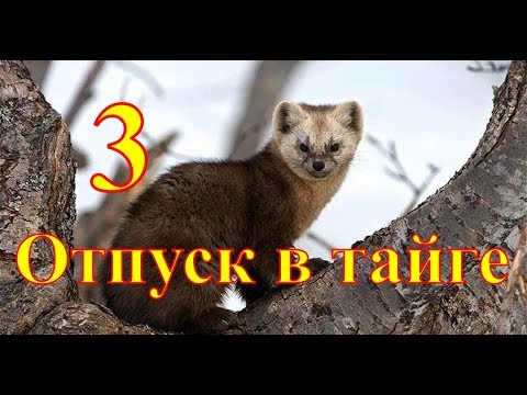 Видео: Отпуск в тайге 3