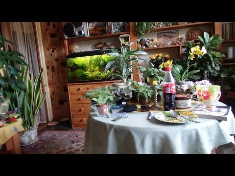 Видео: влог понедельника - много всякой всячины