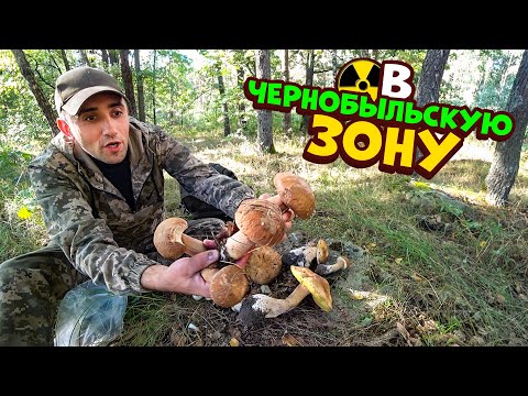 Видео: Поход Выживание во вторую Чернобыльской зону. Ловлю раков, собираю грибы.