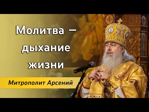 Видео: Проповедь митр. Арсения в Неделю 27-ю по Пятидесятнице об исцелении скорченной женщины. 10.12.23 г.