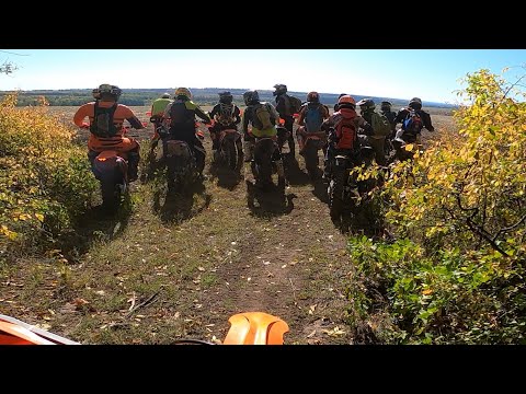 Видео: Толпой наводим шухер