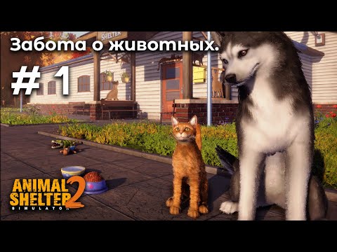 Видео: Открываем приют для животных ➤ Animal Shelter 2 #1