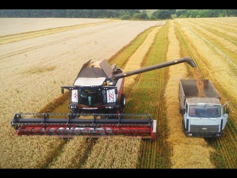 Видео: RSM 161 в работе. Набор бункера