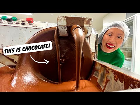 Видео: Самый недооценённый гастрономический регион Новой Зеландии | 9 СЕВЕРНЫХ БЛЮД, КОТОРЫЕ ОБЯЗАТЕЛЬНО...