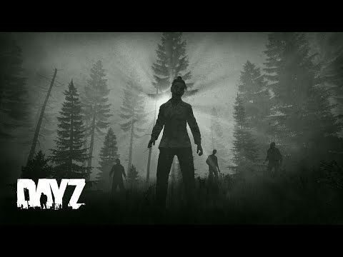 Видео: Данжи Данжи ДанжиFRIENDLY PVE RUS#Dayz #stream #survival #pve