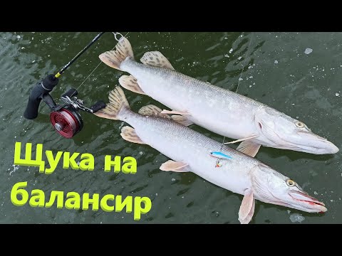 Видео: Щука на балансир NORDIC 4 15h.